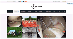 Desktop Screenshot of botser.com
